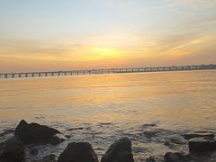 -宝安西湾红树林湿地公园