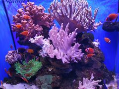 -多彩贵州城极地海洋世界