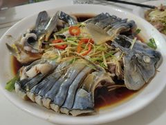 -煲来饱去冷水鱼