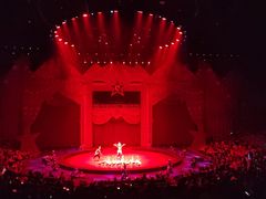 -珠海横琴长隆《卡卡虎奇遇记》