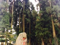 -瓦屋山景区