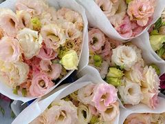 -三圣花乡旅游区