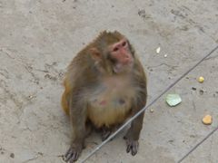 -太原动物园