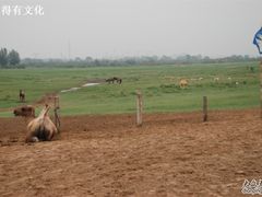 照片&nbsp;257-赛汗塔拉风情园