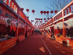 -北京凤凰岭