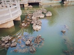 -三亚南山文化旅游区