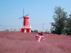 -羊亭河湿地公园