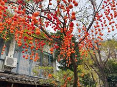 -田园印象·成都土菜院子(华阳店)