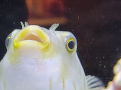 -沈阳海洋探索中心