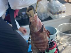 -小猫钓鱼海钓俱乐部(椰梦长廊店)