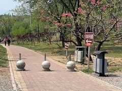 -白水寺森林公园