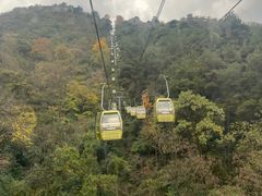 -黔灵山公园