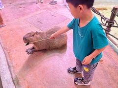 -正佳雨林生态植物园