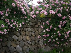 -太阳湾风景区