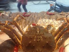 -潮人姐妹轩(海宁路店)