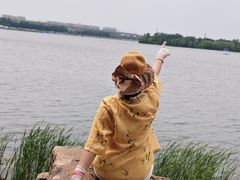 -丁香湖公园