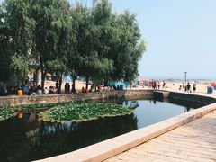 -青岛第二海水浴场