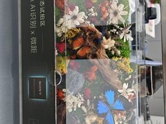 -胜达影像·佳能哈苏索尼