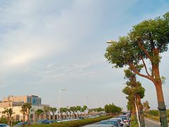 -南汇新城海滩