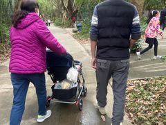 -广东茂名森林公园