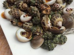 -天天渔港海鲜酒家(石浦玉泉路店)