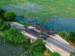 -泗洪洪泽湖湿地景区