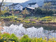 -东山风景区(洞庭东山)