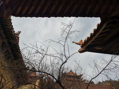 -东天目山风景区