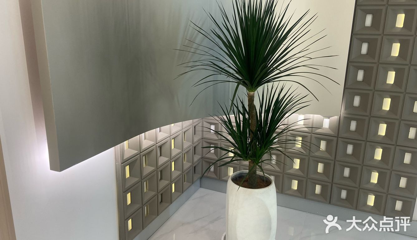 南京的一些咖啡店（江宁篇四）