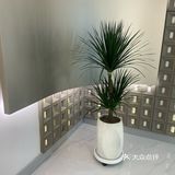 南京的一些咖啡店（江宁篇四）