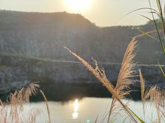 -黄埔油麻山森林公园