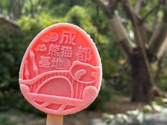 -成都大熊猫繁育研究基地
