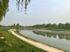 -洨河生态公园