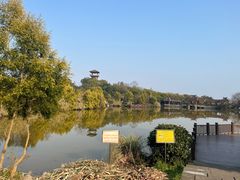-张坝桂圆林公园