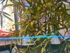 -蛙小侠·沸腾砂锅(望海国际广场店)