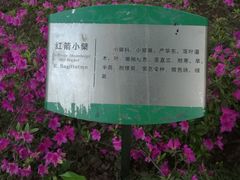 -白塘生态植物园