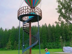 -黄海国家森林公园