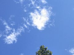 -明日世界密室轰趴·剧本桌游·箭馆团建(国贸店)