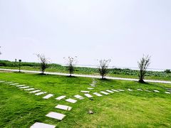 -七的湖·晚芳亭·阳澄湖农家菜·大闸蟹(莲花岛店)