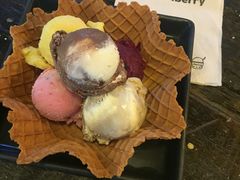 -莓园冰淇淋店