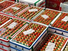 -西郊国际农产品交易中心