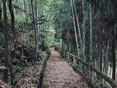 -大邑李记肥肠血旺