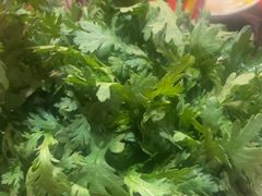 -芦月轩羊蝎子(劲松店)