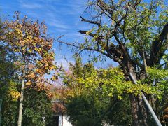 -上海佘山国家森林公园天马山园