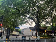 -天一阁博物院