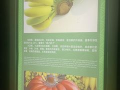 -大湾区中央湿地公园-十九涌