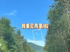 -凤凰山国家森林公园