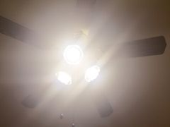 iphone_upload_pic-看书吧(体育东横路店)