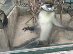 -无锡动物园·太湖欢乐园