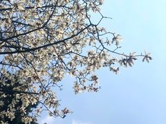 -径山寺